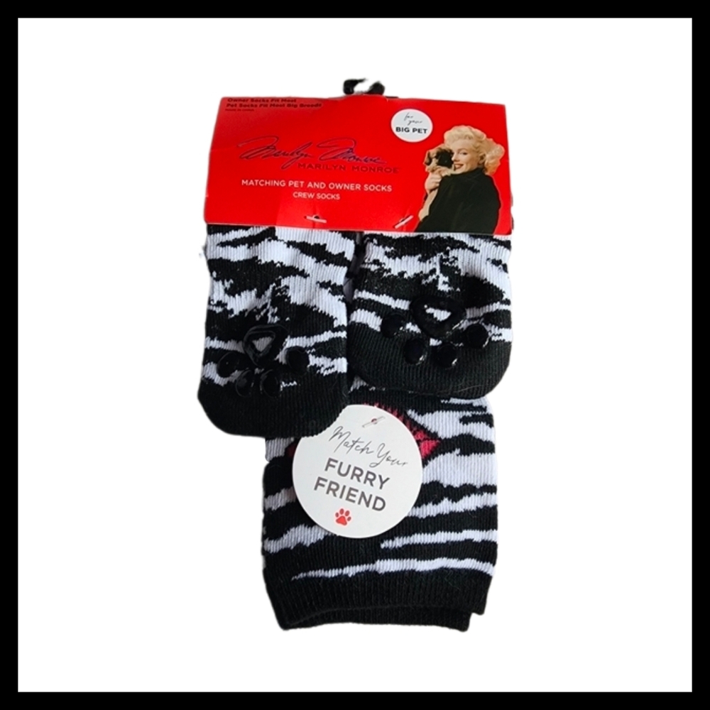 Matching Pet and Owner Socks
